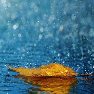 哪灬你的鸣巴好大歌曲原唱
